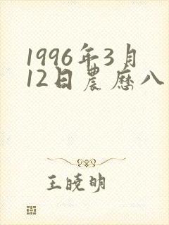 1996年3月12日农历八字