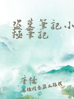 盗墓笔记小说终极笔记