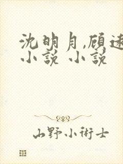 沈明月,顾远舟小说 小说
