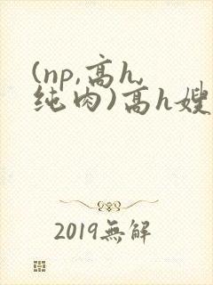 (np,高h,纯肉)高h嫂子