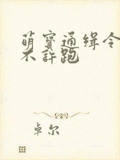 萌宝通缉令妈味不许跑