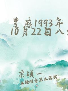 农历1993年10月22日八字怎样