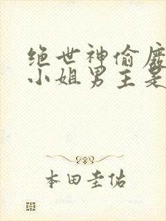 绝世神偷废柴七小姐男主是谁