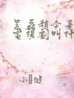 吴磊赵今麦演的电视剧叫什么