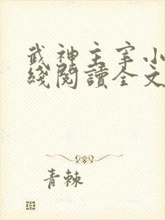 武神主宰小说在线阅读全文