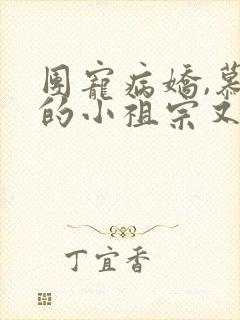 团宠病娇,慕少的小祖宗又凶又撩免费阅读