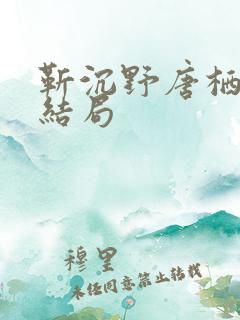 靳沉野唐栖雾大结局