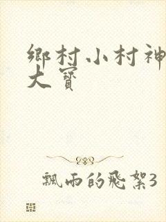 乡村小村神医赵大宝