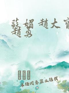 苏媚 赵大宝 赵勇