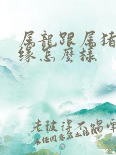属龙跟属猪的姻缘怎么样