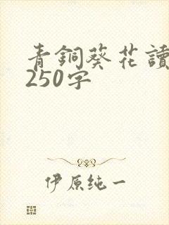 青铜葵花读后感250字