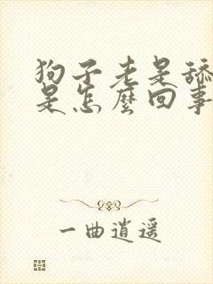 狗子老是舔爪子是怎么回事
