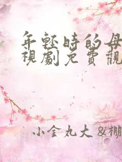 年轻时的母亲电视剧免费观看全集