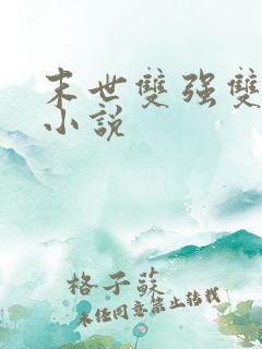 末世双强双男主小说