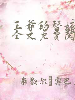 王爷的替嫁王妃全文免费阅读