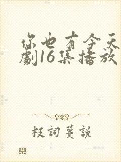 你也有今天电视剧16集播放免费观看