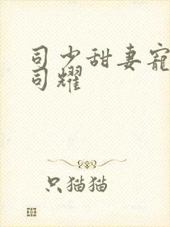 司少甜妻宠定了司耀