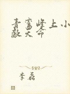 青鸾峰上小说无敌天命