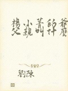 杨小菁的爷爷和父亲叫什么