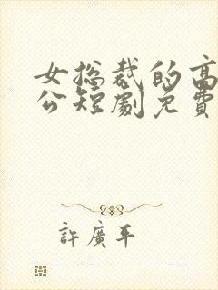 女总裁的高手老公短剧免费观看