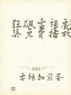 狂飙电视剧40集免费播放在线观看