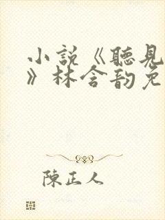 小说《听见以后》林含韵免费阅读