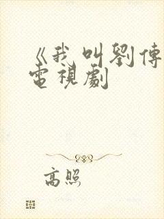 《我叫刘传说》电视剧