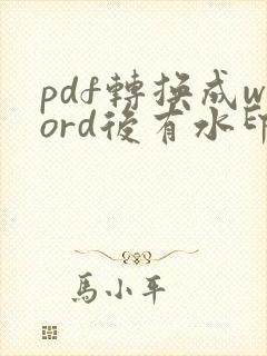 pdf转换成word后有水印怎么去除