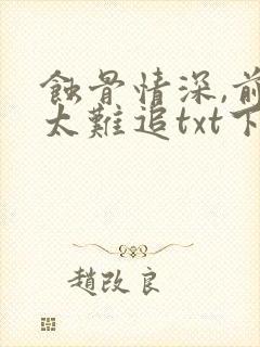 蚀骨情深,前妻太难追txt下载