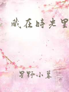 藏在时光里