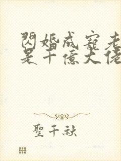 闪婚成宠老公竟是千亿大佬完整版