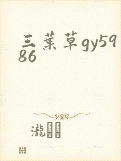 三叶草gy5986