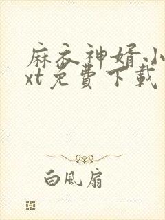 麻衣神婿小说txt免费下载
