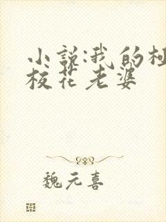小说:我的极品校花老婆
