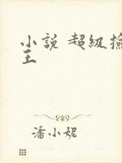 小说 超级捡漏王