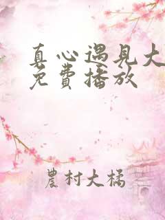 真心遇见大冒险免费播放