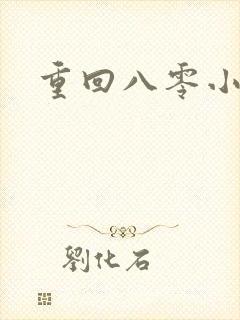 重回八零小说