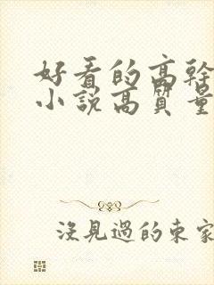 好看的高干言情小说高质量文笔好