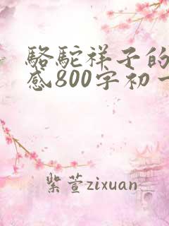 骆驼祥子的读后感800字初一