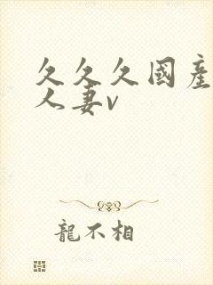 久久久国产精品人妻v