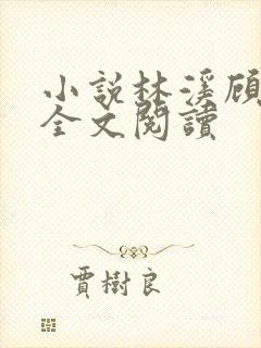 小说林溪顾厅长全文阅读