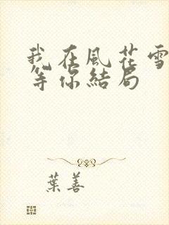 我在风花雪月里等你结局