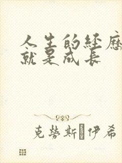 人生的经历感悟就是成长