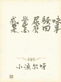 感觉尿骚味很重是怎么回事