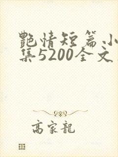 艳情短篇小说合集5200全文在线阅读