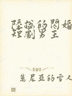 陆总的闪婚甜妻短剧男主