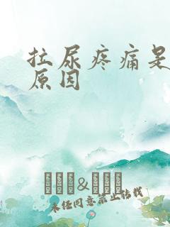 拉尿疼痛是什么原因