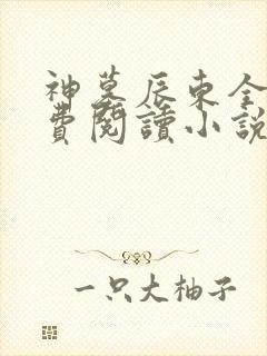 神墓辰东全文免费阅读小说