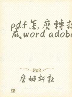 pdf怎么转换成word adobe