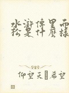 水浒传里面的武松是什么样的人